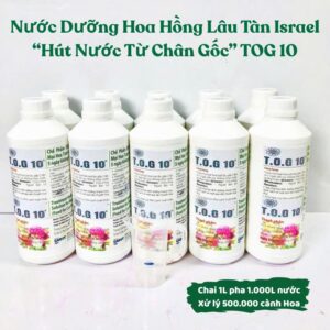 Thuốc Nước Dưỡng Hoa Hồng Tươi Lâu TOG 10 Nhập Khẩu Israel (1L pha 1.000L nước)