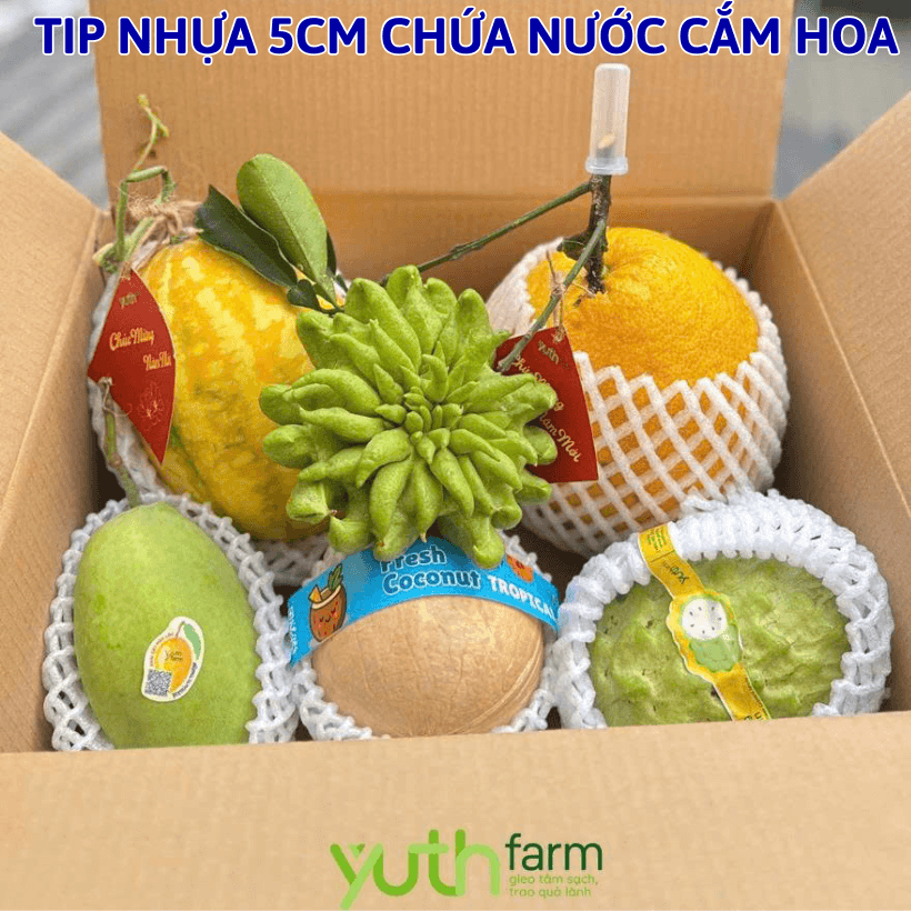 Ống Típ Nhựa Chứa Nước Giúp Cành Bưởi Tươi Lâu Khi Vận Chuyển Đi Xa