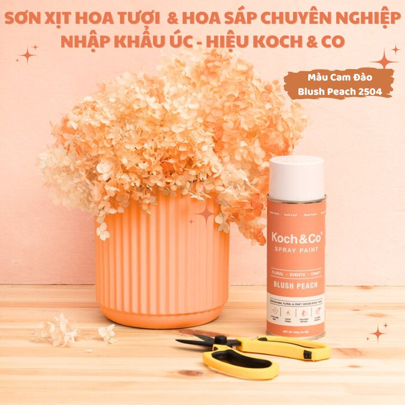 Sơn Xịt Hoa Tươi Úc Màu Cam Đào Blush Peach 2504