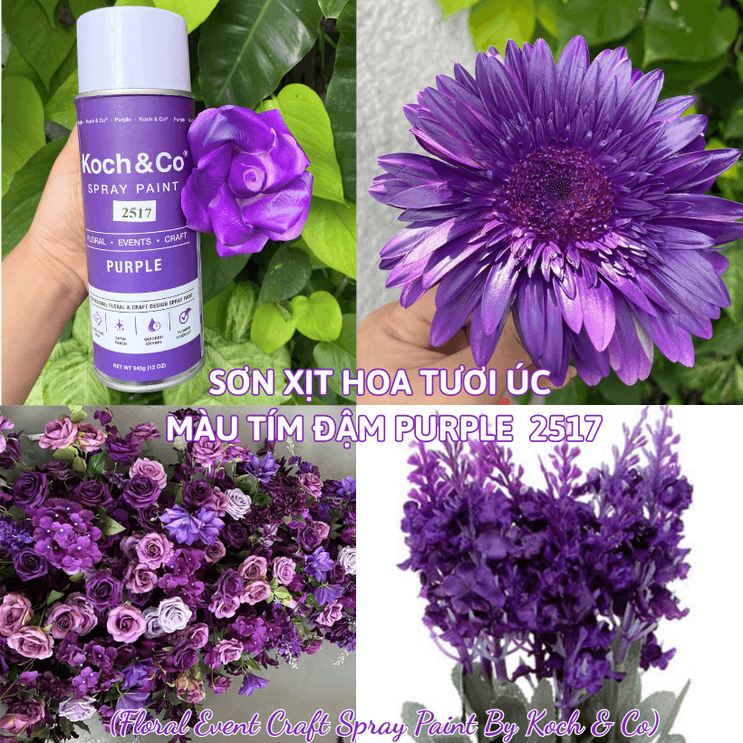 Sơn Xịt Hoa Tươi Úc Màu Tím Đậm Purple 2517