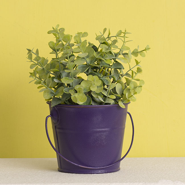 Sơn Xịt Hoa Tươi Úc Màu Tím Đậm Purple
