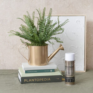 Phun Sơn Hoa Tươi Úc Màu Vàng Đồng Metal Gold 2520 Spray Paint Flower Koch & Co