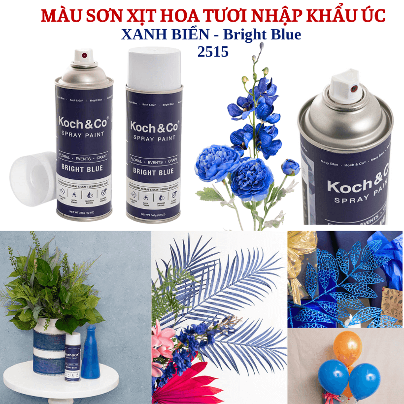 Sơn Xịt Hoa Tươi Úc Màu Xanh Biển Bright Blue
