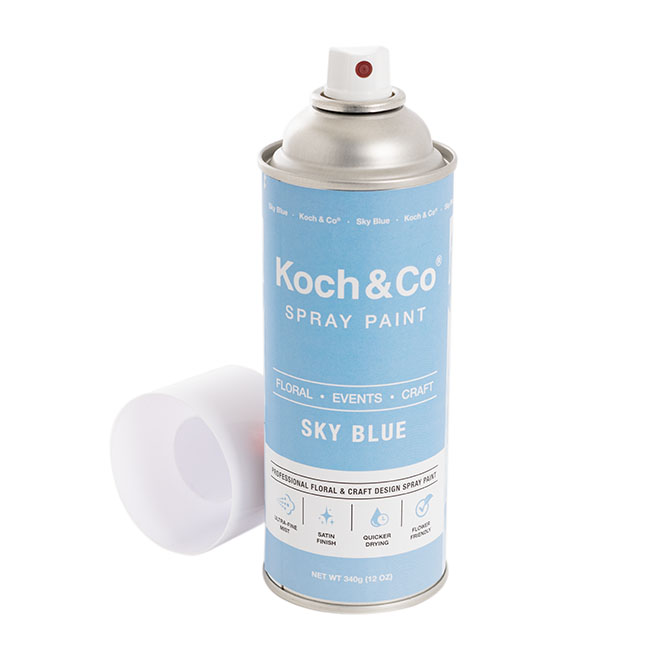Sơn Xịt Hoa Tươi Úc Màu Xanh Trời Sky Blue 2513 hiệu Koch&Co
