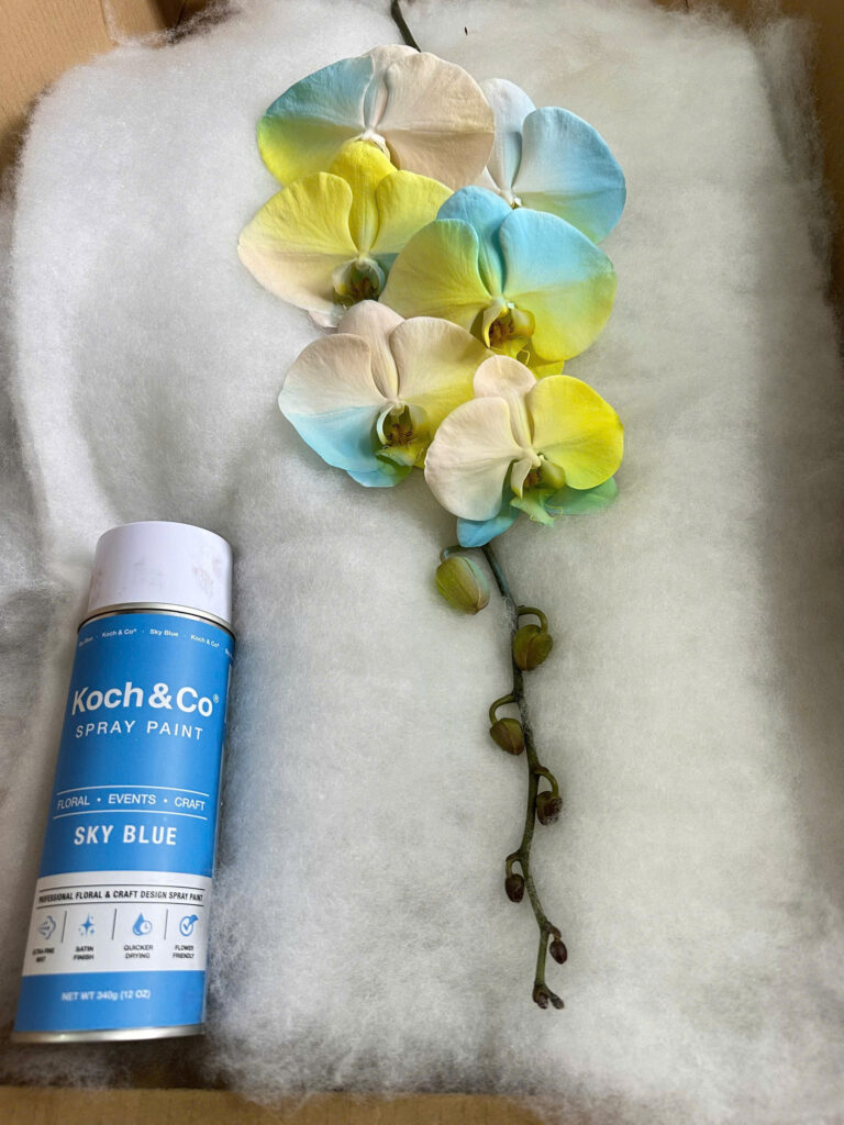 Blue spray paint and artificial flowers