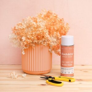 Sơn Xịt Hoa Tươi Úc Màu Cam Đào Blush Peach 2504 Koch & Co Spray painting fresh flowers