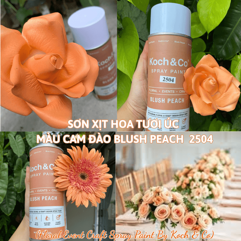 Sơn Xịt Hoa Tươi Úc Màu Cam Đào Blush Peach 2504