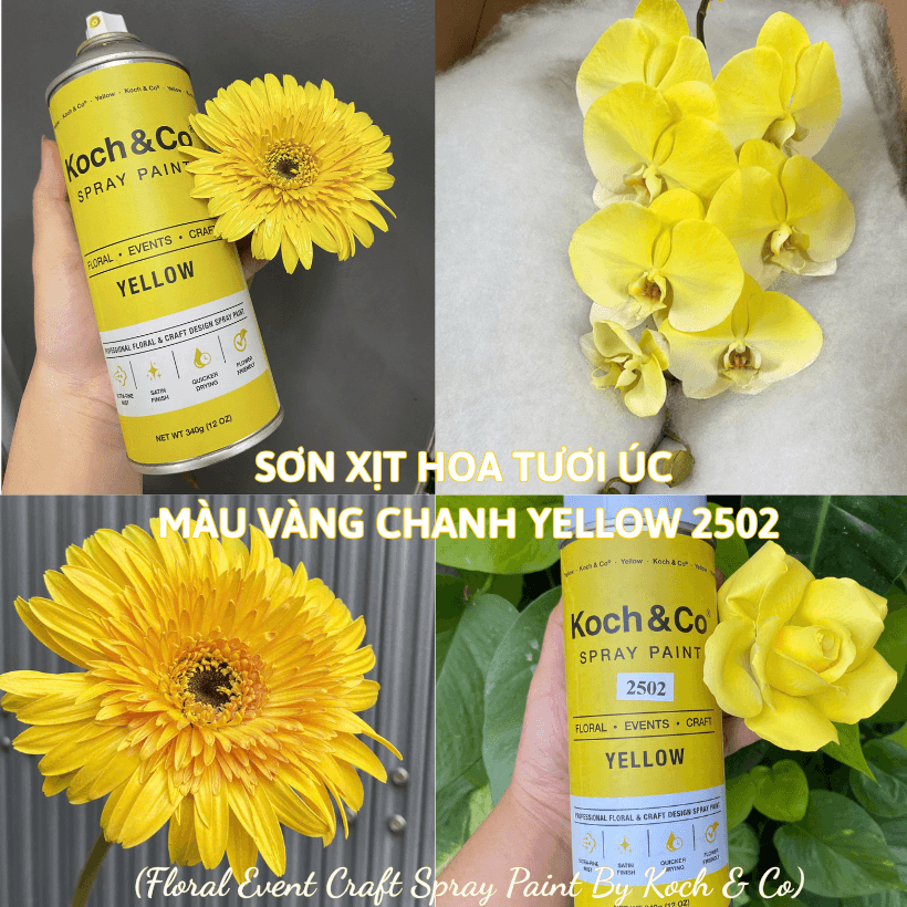 Sơn Xịt Hoa Tươi Úc Màu Vàng Chanh Yellow 2502