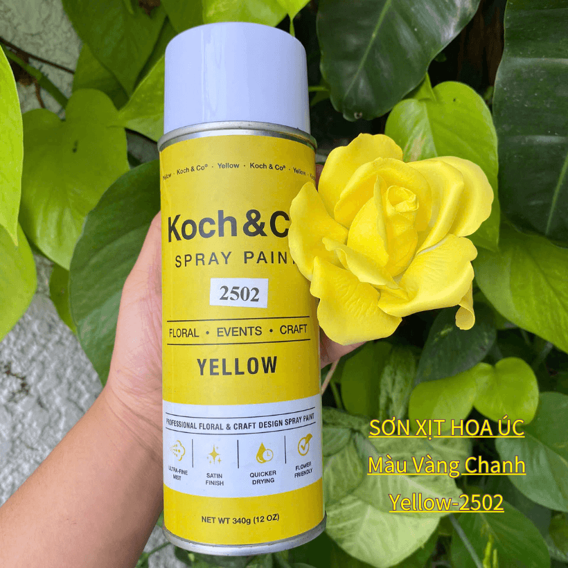 Sơn Xịt Hoa Tươi Úc Màu Vàng Chanh Yellow 2502