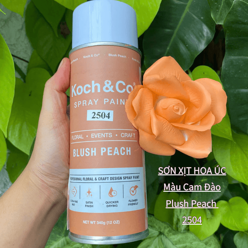 Sơn Xịt Hoa Tươi Úc Màu Cam Đào Blush Peach 2504