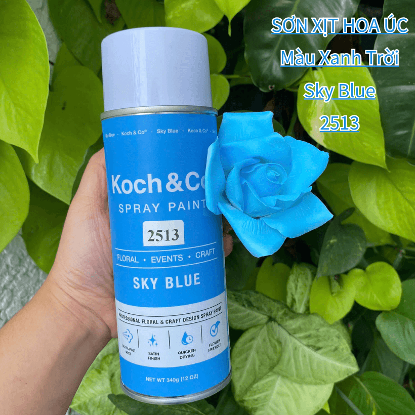 Sơn Xịt Hoa Tươi Úc Màu Xanh Trời Sky Blue 2513