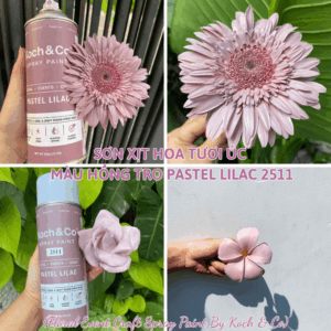 Phun Sơn Hoa Úc Màu Hồng Tro (Pastel Lilac 2511) Spray painting fresh flowers for Florist