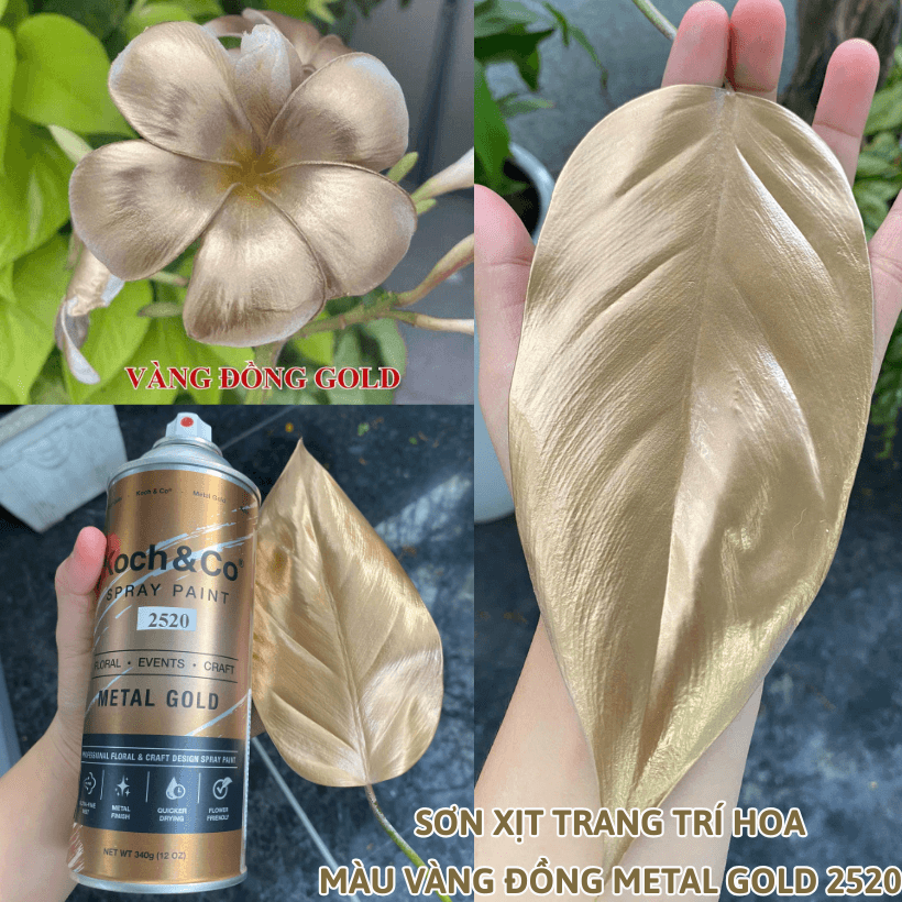 Sơn Xịt Hoa Tươi Úc Màu Vàng Đồng Metal Gold 2520 Koch&Co
