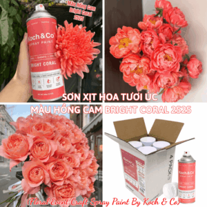 Sơn Xịt Hoa Tươi Úc Màu Hồng Cam Bright Coral 2505 Koch & Co