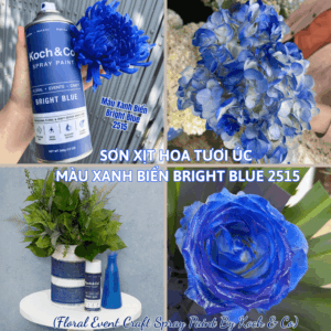 Sơn Xịt Hoa Tươi Úc Màu Xanh Biển Bright Blue 2515 Koch & Co