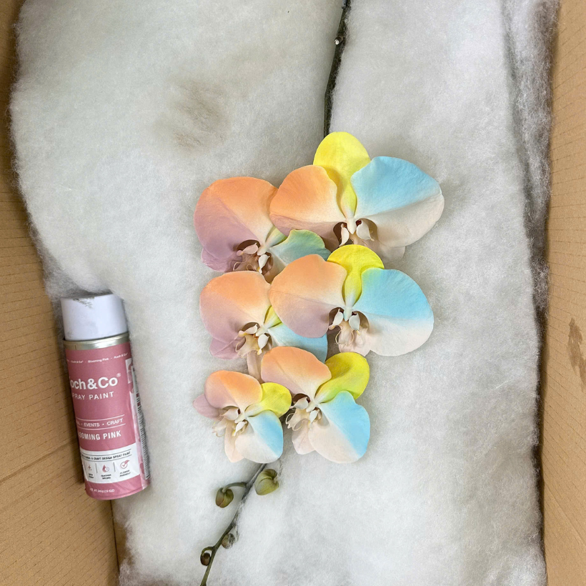 Spray Painting Fresh Flowers with Koch & Co
