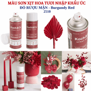 Sơn Xịt Hoa Tươi Úc Màu Đỏ Rượu Mận Burgundy Red 2510 Koch & Co