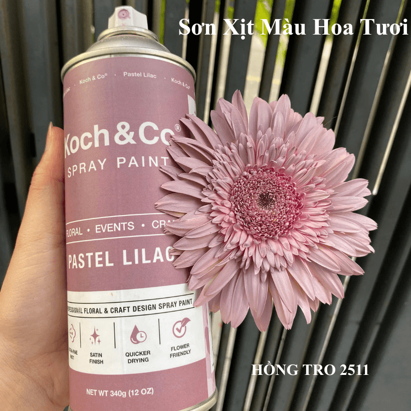 Sơn Xịt Hoa Tươi Úc Màu Hồng Tro Pastel Lilac 2511 Koch & Co