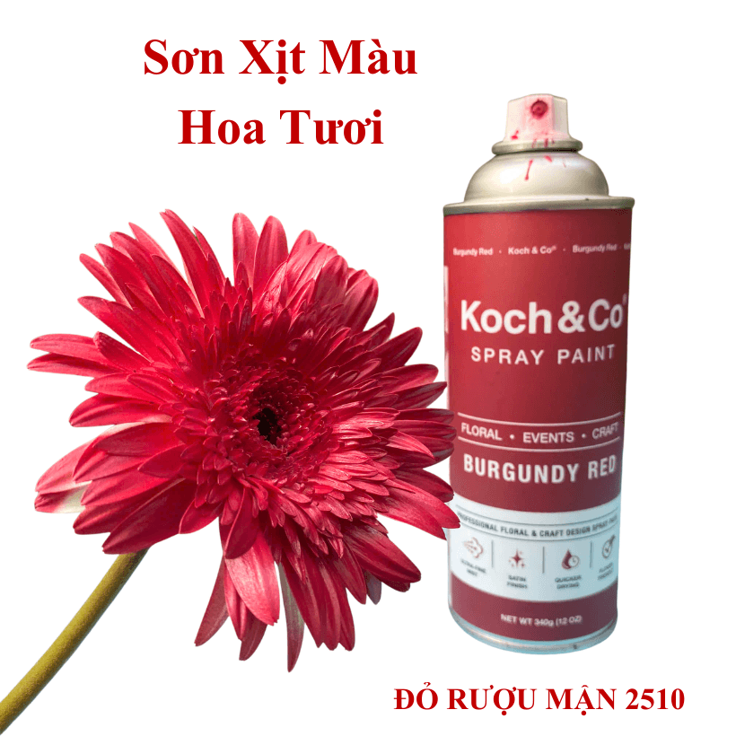 Sơn Xịt Hoa Tươi Úc Màu Đỏ Rượu Mận Burgundy Red 2510