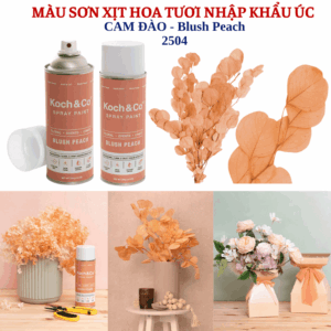 Sơn Xịt Hoa Tươi Úc Màu Cam Đào Blush Peach 2504 Koch & Co