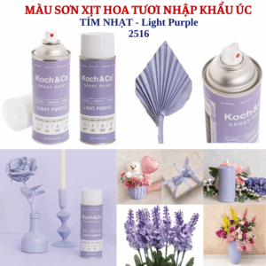 Sơn Xịt Hoa Tươi Úc Màu Tím Nhạt Light Purple 2516 Koch & Co