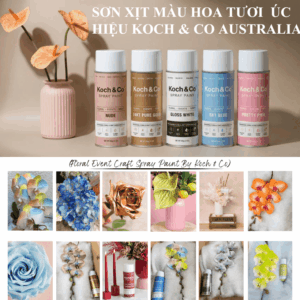 Phun Sơn Hoa Tươi Úc Spray Painting Fresh Flowers Australia 25 Colors