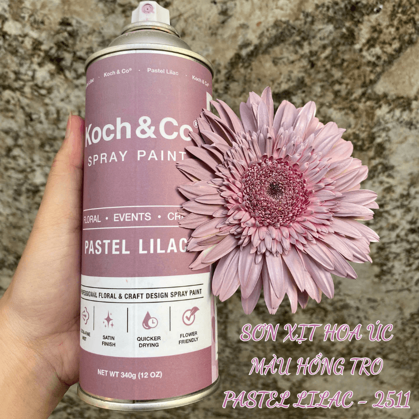 Sơn Xịt Hoa Tươi Úc Màu Hồng Tro Pastel Lilac 2511 Koch & Co