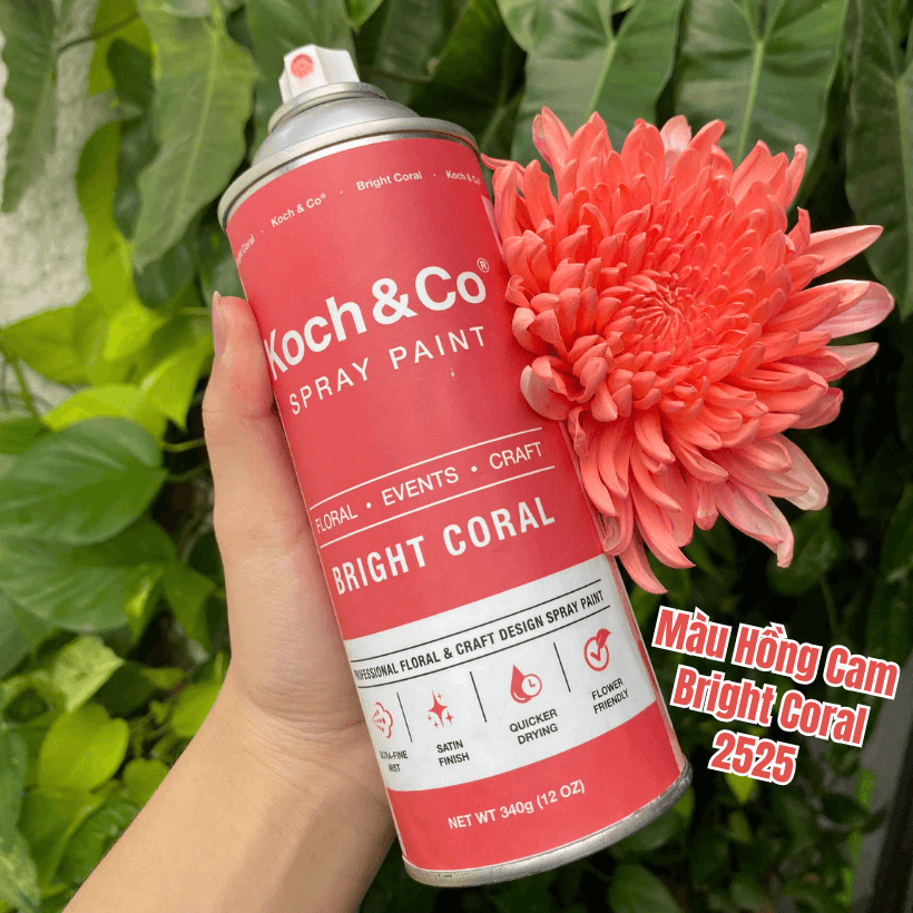 Sơn Xịt Hoa Tươi Úc Màu Hồng Cam Bright Coral 2505