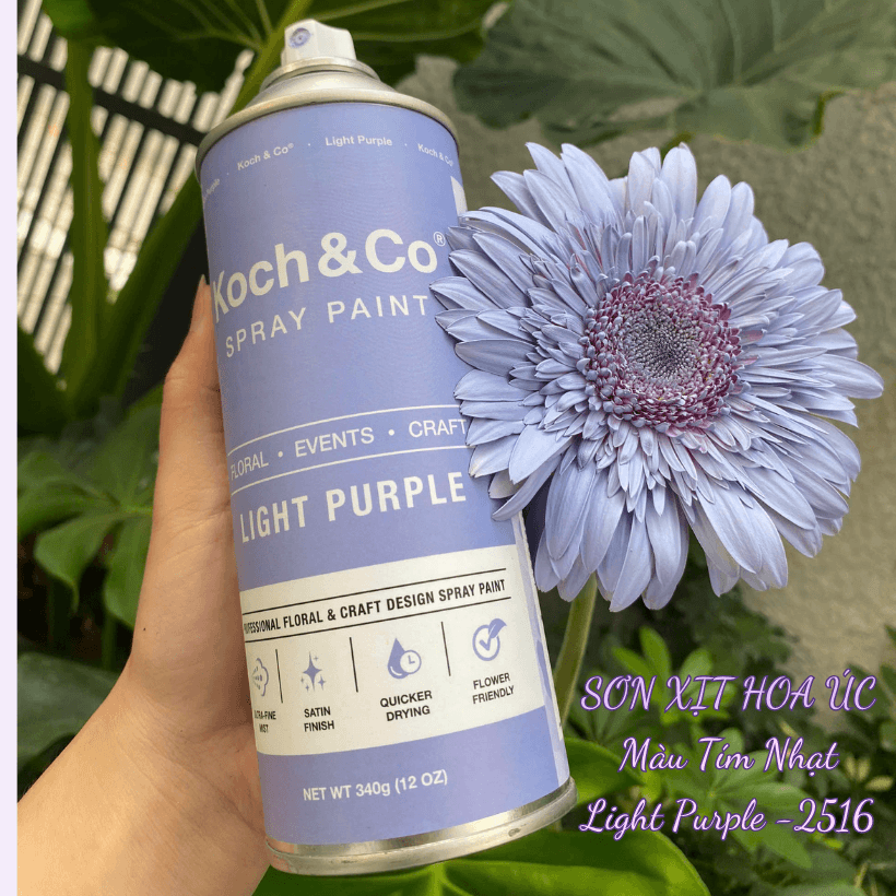 Sơn Xịt Hoa Tươi Úc Màu Tím Nhạt Light Purple 2516