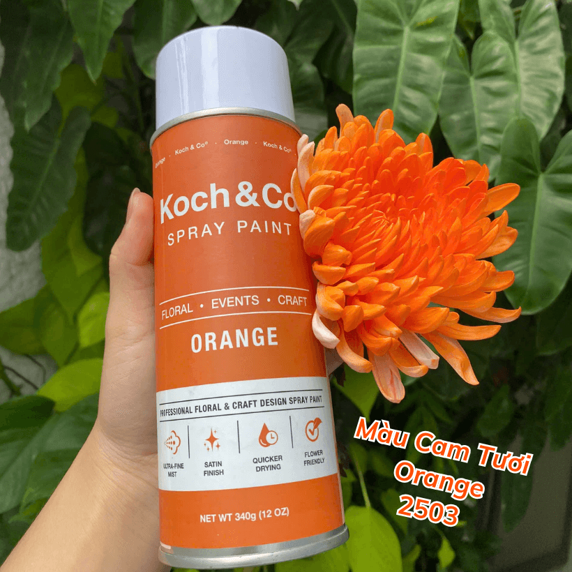 Sơn Xịt Hoa Tươi Úc Màu Cam Tươi Orange 2503