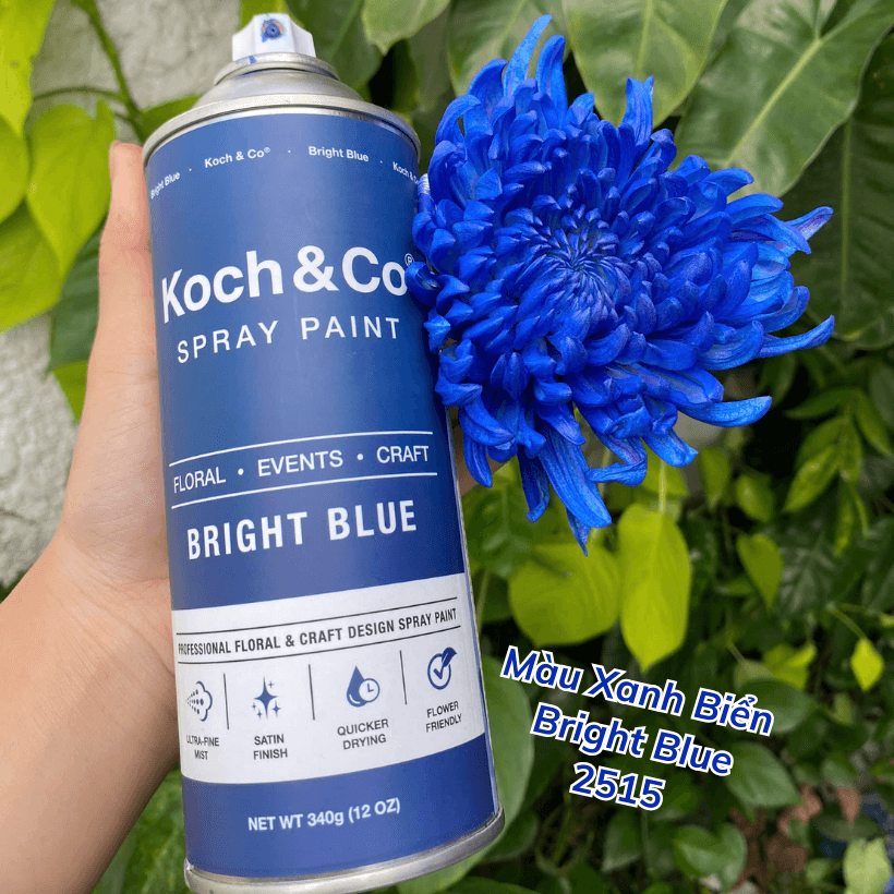 Sơn Xịt Hoa Tươi Úc Màu Xanh Biển Bright Blue