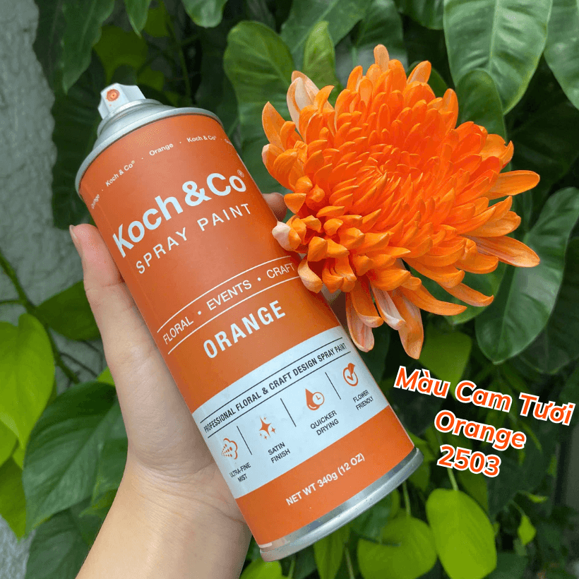 Sơn Xịt Hoa Úc Màu Cam Tươi Orange 2503