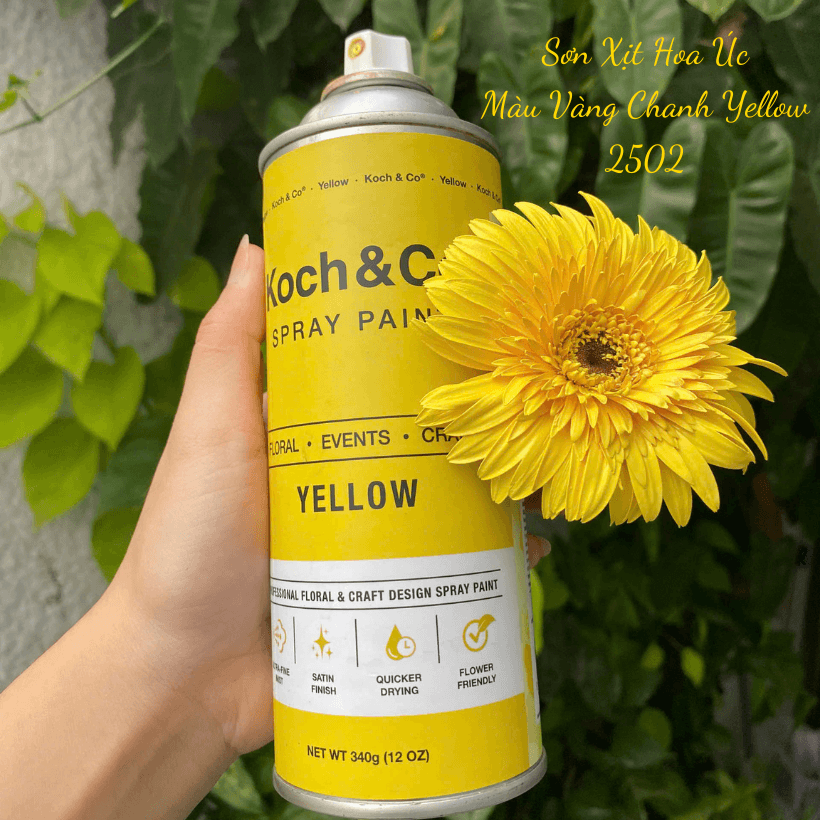 Sơn Xịt Hoa Tươi Úc Màu Vàng Chanh Yellow 2502