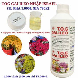 Nước Dưỡng Hoa TOG Galileo 1 Lít Giúp Hồi Hoa Và Giữ Hoa Tươi Lâu