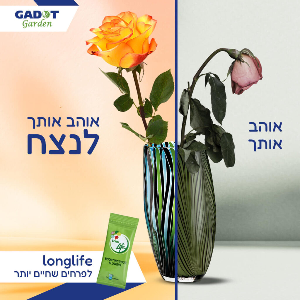 Thuốc Dưỡng Hoa LongLife Dạng Gói