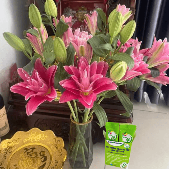 Thuốc Dưỡng Hoa Tươi Lâu LongLife Nhập Khẩu Israel