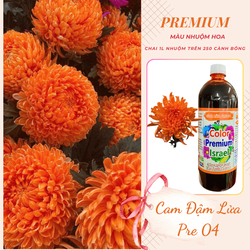 Nước Nhuộm Hoa Tươi Màu Cam Lửa Đậm Pre 04