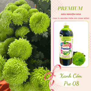 Nước Nhuộm Hoa Tươi Màu Xanh Cốm Pre 08 Hiệu Premium Color Israel