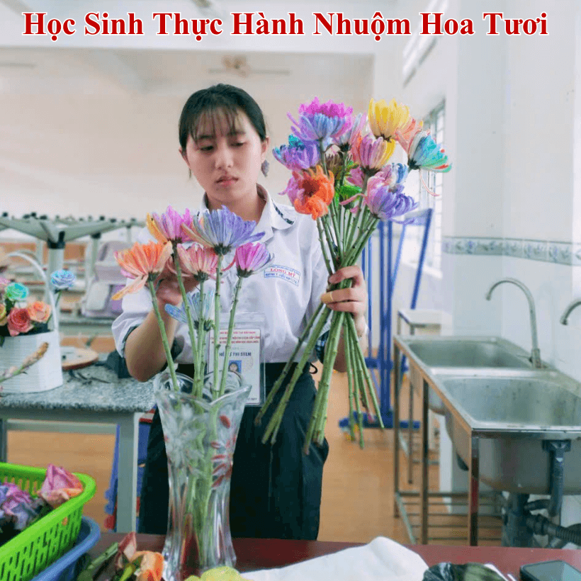 Nước Màu Nhuộm Hoa Tươi Cho Học Sinh