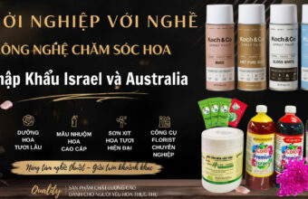 Tuyển CTV Online & Affiliate thuốc dưỡng hoa Israel các sàn Tiktok, Shopee