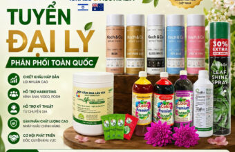 Tìm Đại Lý Phân Phối Thuốc Dưỡng Hoa Longlife và Sơn Xịt Hoa Úc