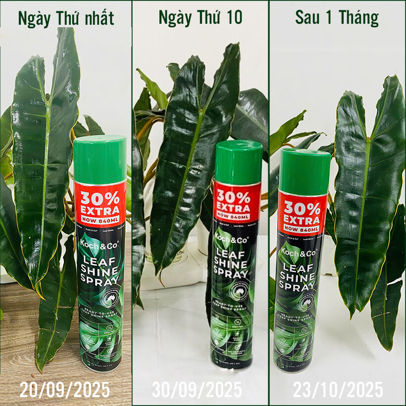Bình Xịt Bóng Lá Kiểng Leaf Shine Úc 840ml
