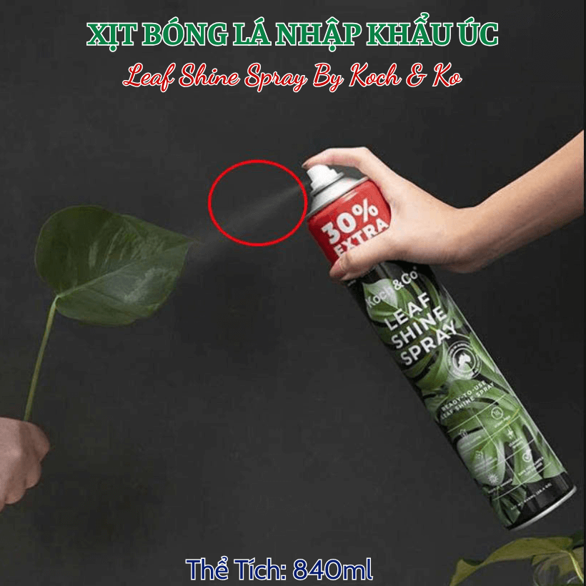 Bình Xịt Bóng Lá Kiểng Leaf Shine Úc 840ml