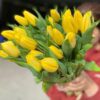 Nước Cắm Hoa Tulip LongLife Bulbs Israel Dạng Bột 1KG (Pha 100L Nước)