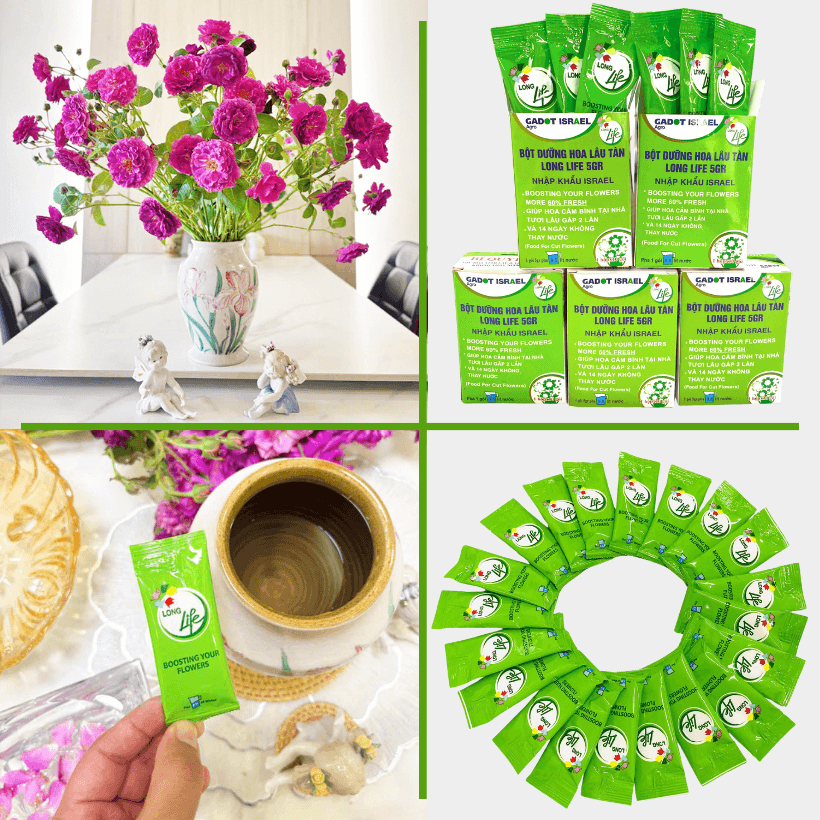 Nước Dưỡng Hoa Hồng Tươi Lâu LongLife Israel