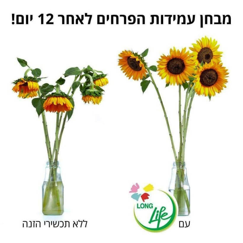 Gói Dưỡng Hoa Tươi Longlife Israel