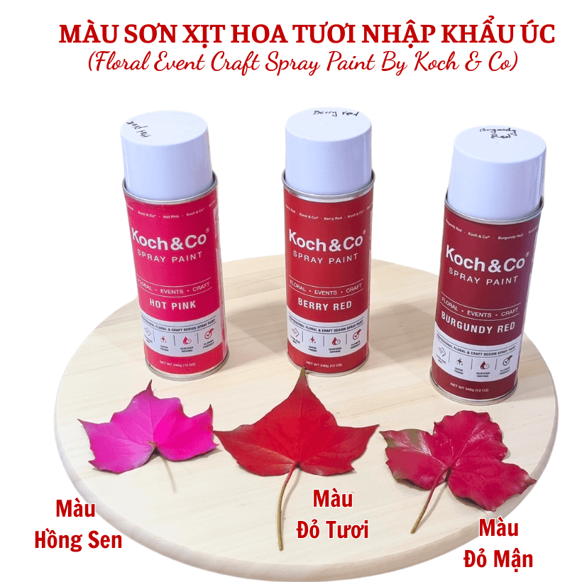 Sơn Xịt Hoa Màu Đỏ Tươi Berry Red 2509 cho Shop Hoa Florist