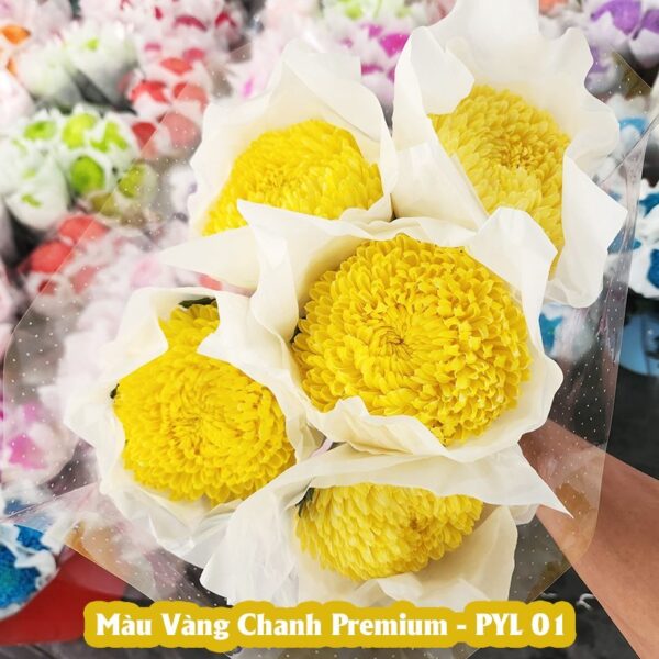Nước Nhuộm Hoa Tươi Màu Vàng Chanh