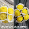 Nước Nhuộm Hoa Tươi Màu Vàng Chanh