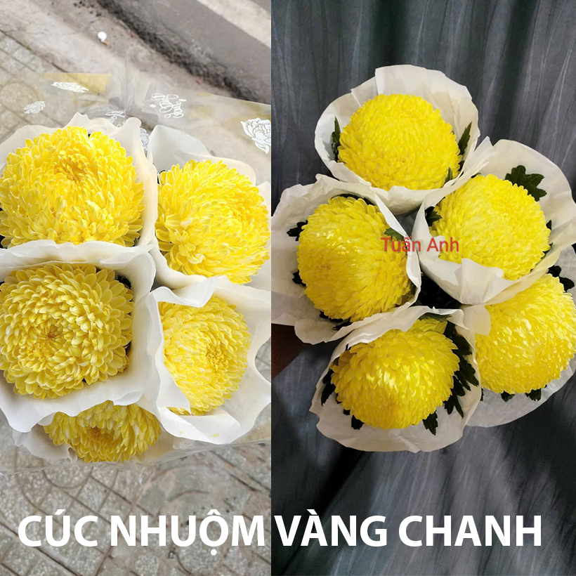 Bột Nhuộm Hoa Tươi Màu Vàng Chanh Pre 01